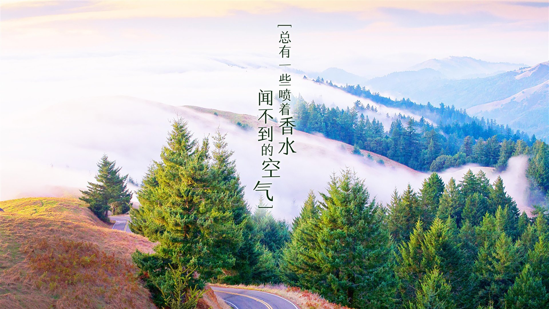 足球政策制定是否考虑地域发展不均问题，足球规划政策